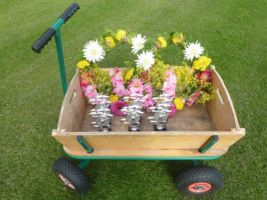 Beginnerspartij 1 juli 2014