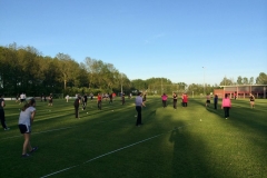 fotogalerie-cat15-236-image