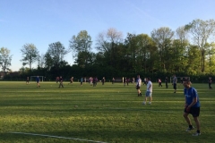 fotogalerie-cat15-241-image