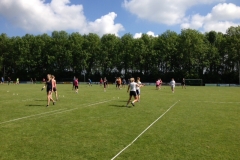 fotogalerie-cat15-242-image