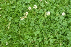 fotogalerie-cat16-754-p1030781