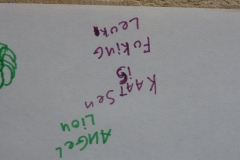 fotogalerie-cat16-761-p1030788