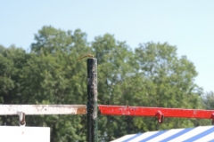 fotogalerie-cat24-1030-dscn0417