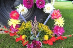 fotogalerie-cat24-1102-dscn0513