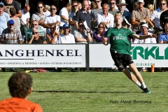 38682941_660491204329517_9216821546008444928_n