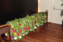 fotogalerie-cat10-117-dsc01119