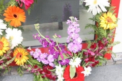 fotogalerie-cat20-943-img_0504