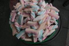 fotogalerie-cat20-967-img_0530